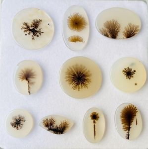 Lote al por mayor de cabujones de ágata musgosa dendrítica natural, gemas sueltas de formas variadas para la fabricación de joyas - Product Image 2