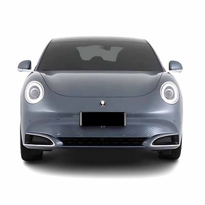 Venta al por mayor nuevos usados 2022 GWM Great Wall Sedan EV Cars ORA Lightning Cat <span class=keywords><strong>regalos</strong></span> <span class=keywords><strong>para</strong></span> madre abuela hermanas novia - Product Image 3