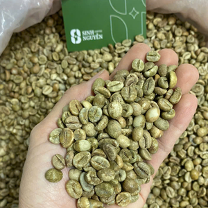 Authentic 60kg Bag Green <b>Robusta</b> <b>Coffee</b> <b>Beans</b> Honey Natural Process Clean High Ripe 95% Direct Supply Vietnam - Product Image 4