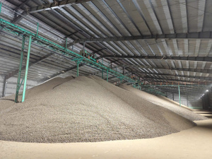 เศษไม้เนื้อแข็งคุณภาพสูงสำหรับโรงงานกระดาษและการแปรรูปเยื่อกระดาษ - Product Image 2
