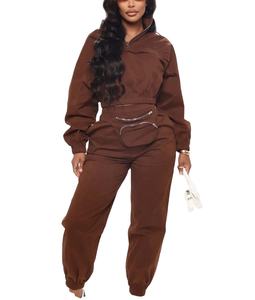 Moda señoras Fitness Wear conjunto de dos piezas Loose Fit correr al aire libre Casual puños elásticos entrenamiento rompevientos chándal para mujeres - Product Image 4