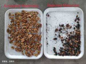 Clasificador <span class=keywords><strong>de</strong></span> Color <span class=keywords><strong>de</strong></span> Pistachos CCD AT30, Clasificador <span class=keywords><strong>de</strong></span> Forma Automático <span class=keywords><strong>de</strong></span> Alta Precisión con IA para Nueces, Almendras y Nueces, Máquina <span class=keywords><strong>de</strong></span> Clasificación Óptica para Bodega con PLC - Product Image 6