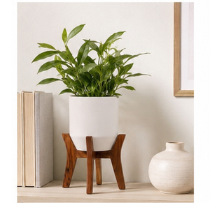 Supports de plantes modernes en bois massif pour salon et balcon – Ensemble de décoration intérieure – Prix le plus bas pour les fournisseurs en gros - Product Image 3