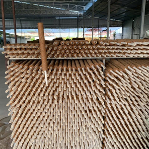 [MEILLEURE VENTE] BLUE LOTUS FARM Piquet de support en fibre de coco pour plantes grimpantes d'intérieur Décoration de ferme Ben Tre - Product Image 4