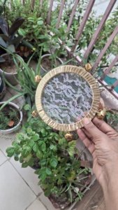 Tambourin traditionnel Dafli avec clochettes pour mariage Sangeet, Mehendi, Haldi, Dholki, Nuit du Henné, Garba et décoration de festival - Product Image 1