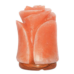 Lámpara de Sal Rosa Única de Alta Calidad, Estilo Antiguo, con Logotipo Personalizado para Decoración del Hogar, Técnica de Tallado, Personalizable - Product Image 1