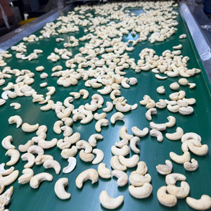 Hot Sale 2023 Cashew <b>Nuts</b> WW180, WW240, WW320, LP, WS Cashew Cashew <b>Nut</b> <b>Kernels</b> Reday To Ship - Product Image 1