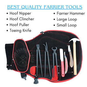 ชุดเครื่องมือช่างเกือกม้า พร้อมที่ตัดกีบ คีมถอนตะปู คีมหนีบตะปู คีมตัดห่วงขนาดใหญ่ มีดตัดห่วง ค้อนช่างเกือกม้า ที่ตัดเล็บ และอุปกรณ์ทำความสะอาดห่วง - Product Image 3