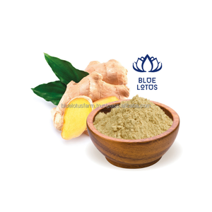 Poudre de gingembre GEM - Product Image 1