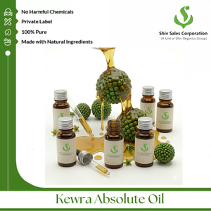 Superior Quality Kewra Absolute Oil for Fragrance Manufacturing, <b>Perfume</b> Blending and High-End Aroma Product Development - Product Image 5