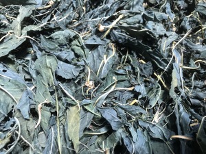 Poudre de feuilles d'indigo en gros, naturelle et pure, qualité cosmétique, Indigofera tinctoria, pour coloration et maintien de la douceur des cheveux, export en vrac - Product Image 6