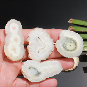 Hermosa Rodaja de Cuarzo Solar Natural, Joyería de Cristal para Sanación |   Blanco 20-35mm |   Efecto de Juego de Colores |   Elegante Patrón Macro - Product Image 2