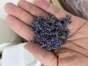 Sel de bain de la Mer Morte en gros avec fleurs séchées, sel minéral naturel, exfoliant corporel, soins spa, fournisseur en vrac - Product Image 4
