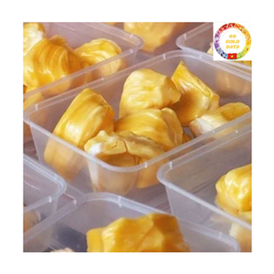 Frozen Jackfruit Vietnam Supplier | IQF Process Seedless Sweet | Bulk Wholesale Export Quality - Product Image 5
