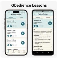 RoyalCraft - Application d'apprentissage des commandes d'obéissance pour chiots - Version Entreprise - Stock disponible pour iOS/Android/Linux/Mac