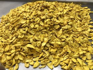 Venta al por mayor de naranja seca (jackfruit) natural, aperitivo energético, rodajas crujientes para compra a granel. Solo para empresas de comercio internacional de alimentos. - Product Image 3