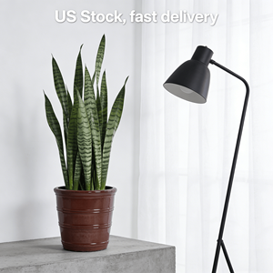 Ensemble de pots de fleurs en céramique émaillée artisanale noire brillante à base de pâte de haricots, écologique, léger, pour l'intérieur et l'extérieur, jardin domestique - Product Image 2