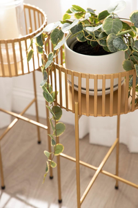 Juego de 2 Soportes Modernos para Plantas de Metal Dorado, Maceteros Decorativos Poco Profundos con Alturas Escalonadas para Suculentas de Crecimiento Bajo - Product Image 3