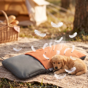 Tapis rafraîchissant pour animaux Airloop fabriqué à Taïwan (ODM) – Conception de ventilation brevetée, diffusion complète du vent, application polyvalente, personnalisable - Product Image 2