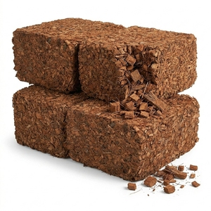 Ladrillos de Fibra de Coco, Residuos Agrícolas, para Hidroponía, Triple Lavado, Color Marrón Natural, Biodegradables, Empacados en Palés, para Plantación, India - Product Image 2