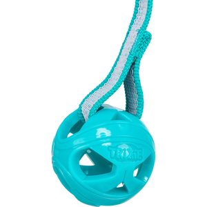 Honeycomb Ball with TPE Rope 6\" X 23\" <b>Pet</b> <b>Interactive</b> & Movement <b>Toy</b> - Product Image 3