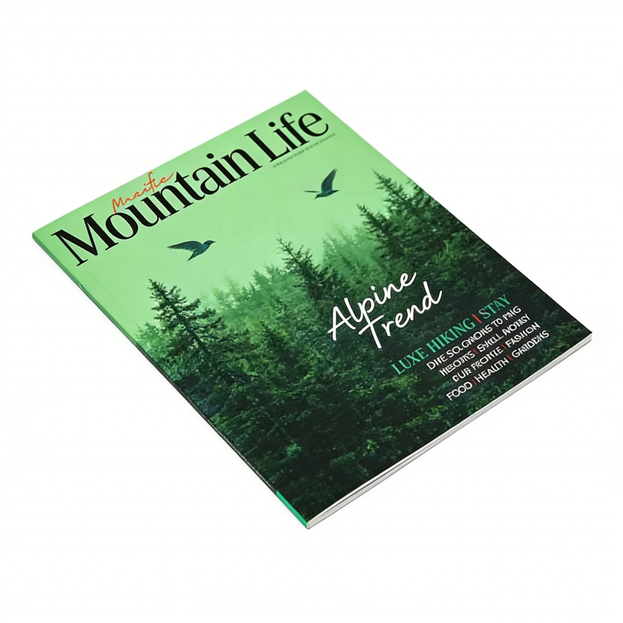Cheap Eco-friendly Fancy Paper Cardboard Custom Size Perfect Bound Book Printing Service with Offset Printing and Soft Cover