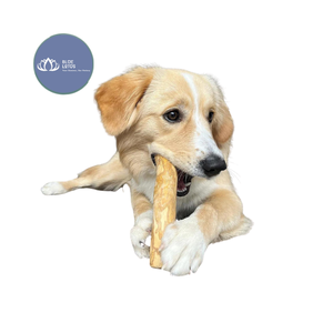 [HIGH QUALITY] | Safe Durable Coffee Wood Dog Chew Stick Bulk Wholesale Pet Dental Cleaning <b>Toy</b> Supplies Vietnam - Product Image 1