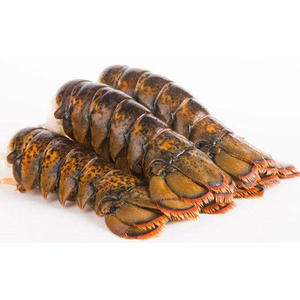 Langosta Congelada, Colas de Langosta Congeladas, Langostas Frescas Vivas - Product Image 2