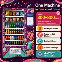Máquina Expendedora Comercial de Aperitivos y Bebidas para Ubicaciones Exteriores con Marca Personalizada y Configuración Flexible