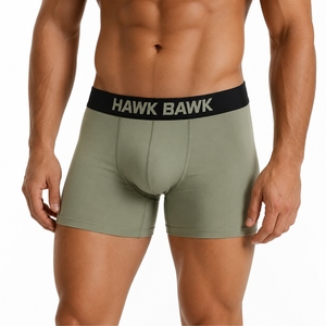 Men's <b>Boxer</b> Briefs Soft Stretch Comfortable Breathable Quick Dry Solid Color Knitted <b>Boxer</b> Briefs <b>Custom</b> Fit Underwear - Product Image 1