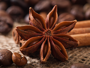 โป๊ยกั๊กเวียดนามคุณภาพดี ราคาดี สดใหม่ อบแห้ง จำหน่ายส่งออกทั่วโลกจากโรงงานในเวียดนาม - Product Image 6