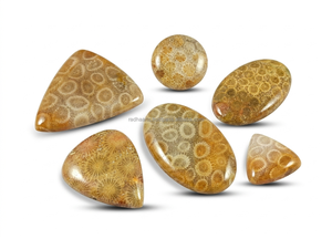 Collier et bagues artisanaux en argent sterling avec pendentif cabochon en pierre précieuse naturelle de corail fossile jaune, pierre véritable polie - Product Image 5