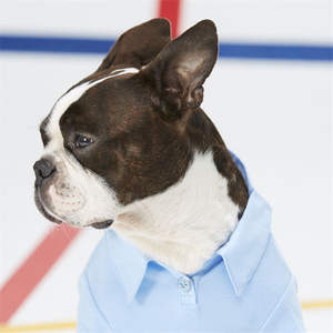 ODM OEM Taiwan Vendors High Quality Blank Color Dog Polo <b>Clothes</b> - Product Image 6