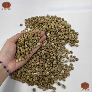 Venta Directa de Fábrica: Granos de Café Verde Robusta de Vietnam, Grado 1, Alto Contenido de Cafeína, Venta al Por Mayor, Suministro OEM, Marca Privada - Product Image 1