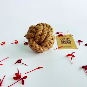 Bolas de Fibra de Coco Hechas a Mano para Gatos – Solución Ecológica para Mascotas - Product Image 2