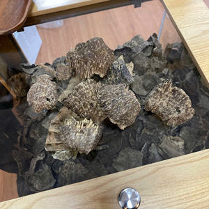 Copeaux d'agarwood naturel du Vietnam à haute teneur en résine, bois d'oud pour encens, vente en gros de bois d'oud naturel en vrac - Product Image 3