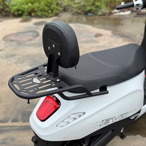 Porte-bagages arrière M-Biker VinFast Evo Grand avec dossier passager, accessoires pour moto - Product Image 1