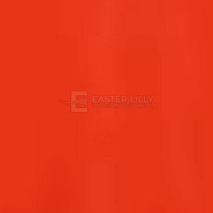 Ropa Deportiva, Uniforme de Béisbol Personalizado, Uniforme de Equipo, Nuevo Uniforme de Béisbol - Product Image 6