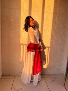 White Indian Pakistani Set Embroidered Long Sleeve Top Net Dupatta Velvet Border Festive Outfit - Product Image 2