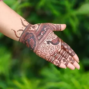 Crème de tatouage à l'extrait d'herbes de henné biologique, colorant naturel pour l'art corporel, qualité cosmétique sans danger pour la peau, origine indienne, qualité export - Product Image 6