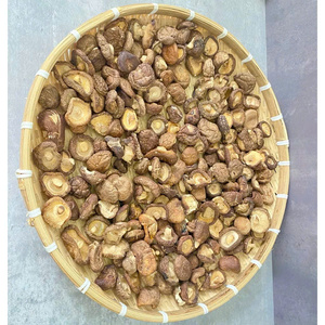 Champignons entiers séchés, emballage en vrac naturel, collation saine, origine Vietnam - Product Image 5