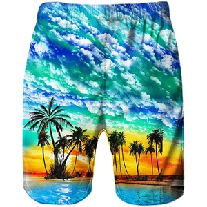 Pantalones Cortos Deportivos Personalizados para Verano, Playa, Senderismo, Jogging, Malla, Sublimación 3D, Gimnasio, Fitness - Product Image 2