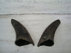Pares de Cuernos de Cabra Naturales, Acabado Rústico Ecológico, Nueva Colección de Alta Calidad para Decoración y Manualidades - Product Image 5