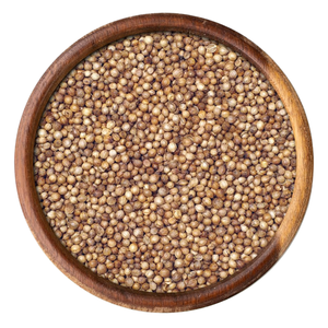 Semillas de Cilantro Enteras Secas Crudas Envasadas al Vacío Fabricante de la India - Product Image 1