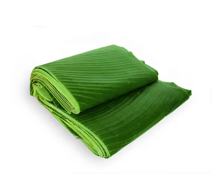ベトナムの冷凍バナナの葉-生分解性で環境にやさしい-100% 新鮮で自然
