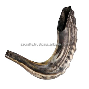 Cuerno de Shofar de carnero Natural de la mejor calidad, estilo Animal religioso pulido, artesanías Z a la venta - Product Image 2
