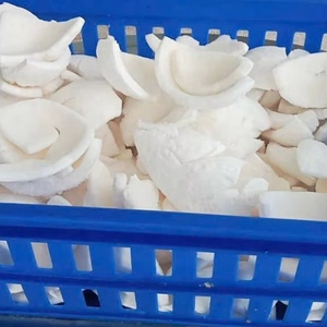 เนื้อมะพร้าวขูดแช่แข็งแช่แข็งแผ่นมะพร้าวสีขาวละเอียดเส้นใยสูงสำหรับเบเกอรี่คุกกี้ขนมปิ้ง - Product Image 2