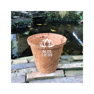 Pot en fibre de coco de qualité supérieure, matériau propre et sûr pour la propagation des plantes et le repiquage facile, culture en intérieur et en extérieur - Product Image 1