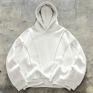 Wholesale Embroidered & Applique Digital Printed 100% Cotton Heavyweight Winter Hoodies for Startup Clothing Brand Production - Product Image 5