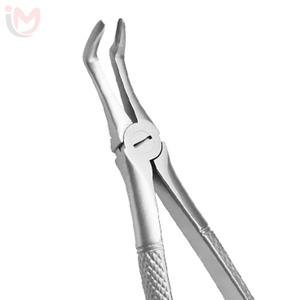 IMANS ENTERPRISES Pinzas de Extracción Ergonómicas para Extracción de Molares Superiores, Instrumento Quirúrgico Dental Manual Clase I - Product Image 2